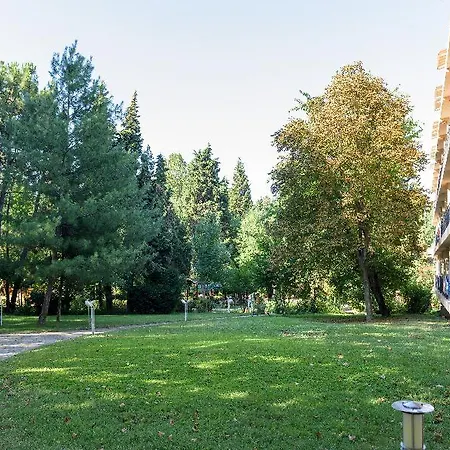 Oasis 3* Obzor